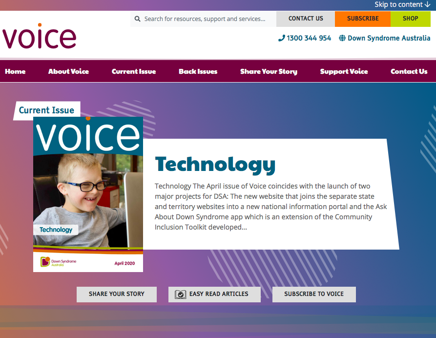 Voice website icon