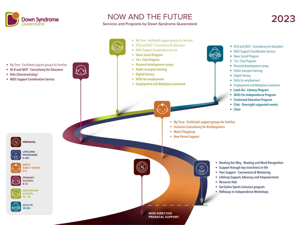 DSQ-Now-and-the-Future-Infographic