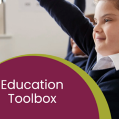 DSIDQ Education Toolbox thumbnail.