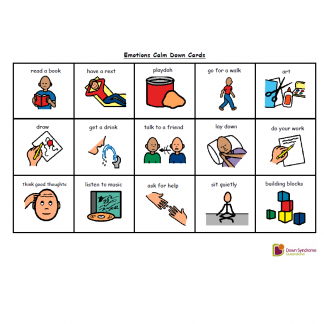 Emotional Regulation Choice Cards