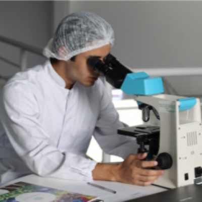 A man looks at a microscope