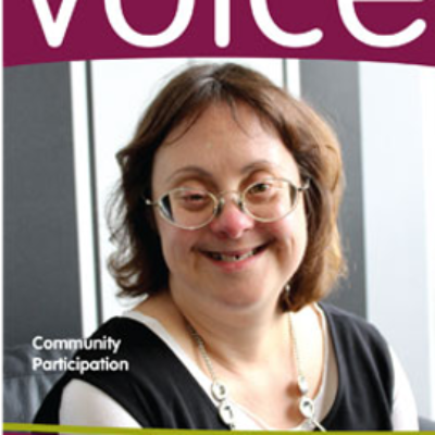 Cover image of Voice journal