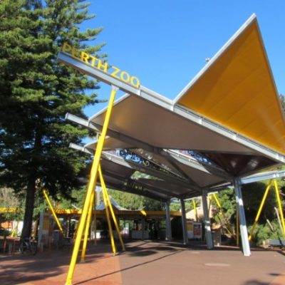 DSWA KiDS Club – Perth Zoo