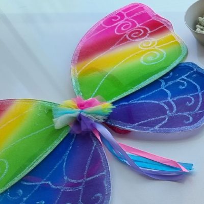 DSWA South Metro Playgroup – Monday 12th June